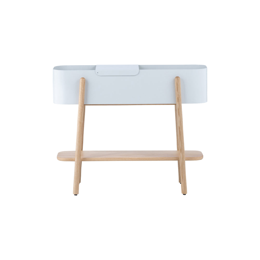 アスピ プランター