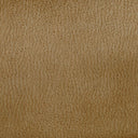 プロバンテ　ベース　2P　幅165cm