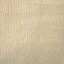 プロバンテ　ベース　2P　幅165cm